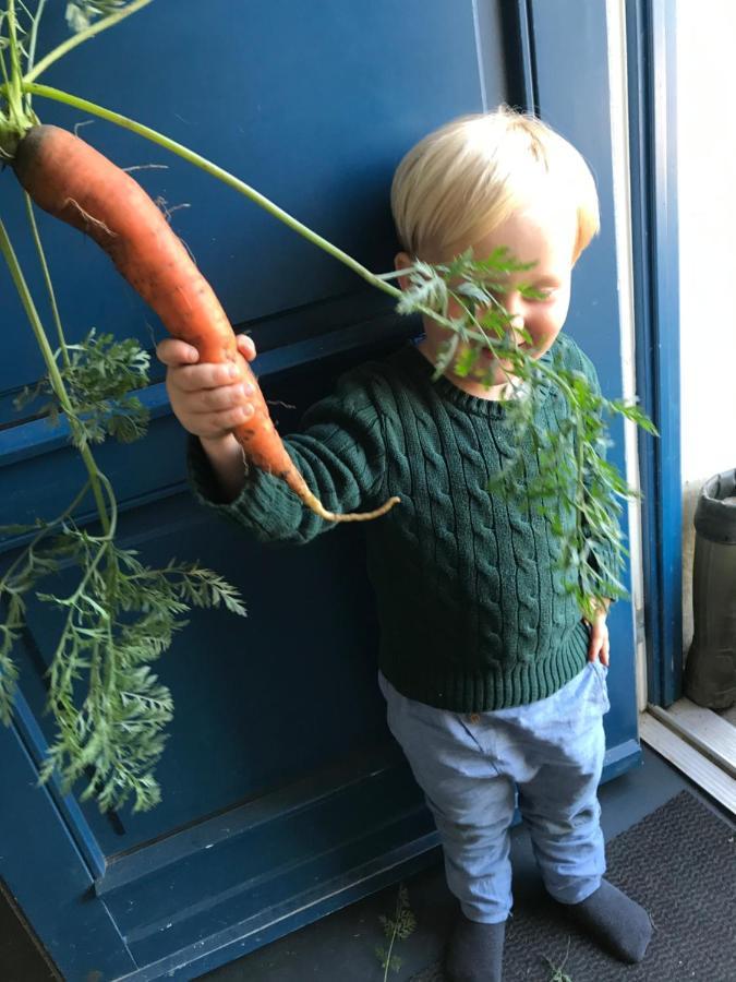 Bremsmaj Farm Holiday Kværs エクステリア 写真